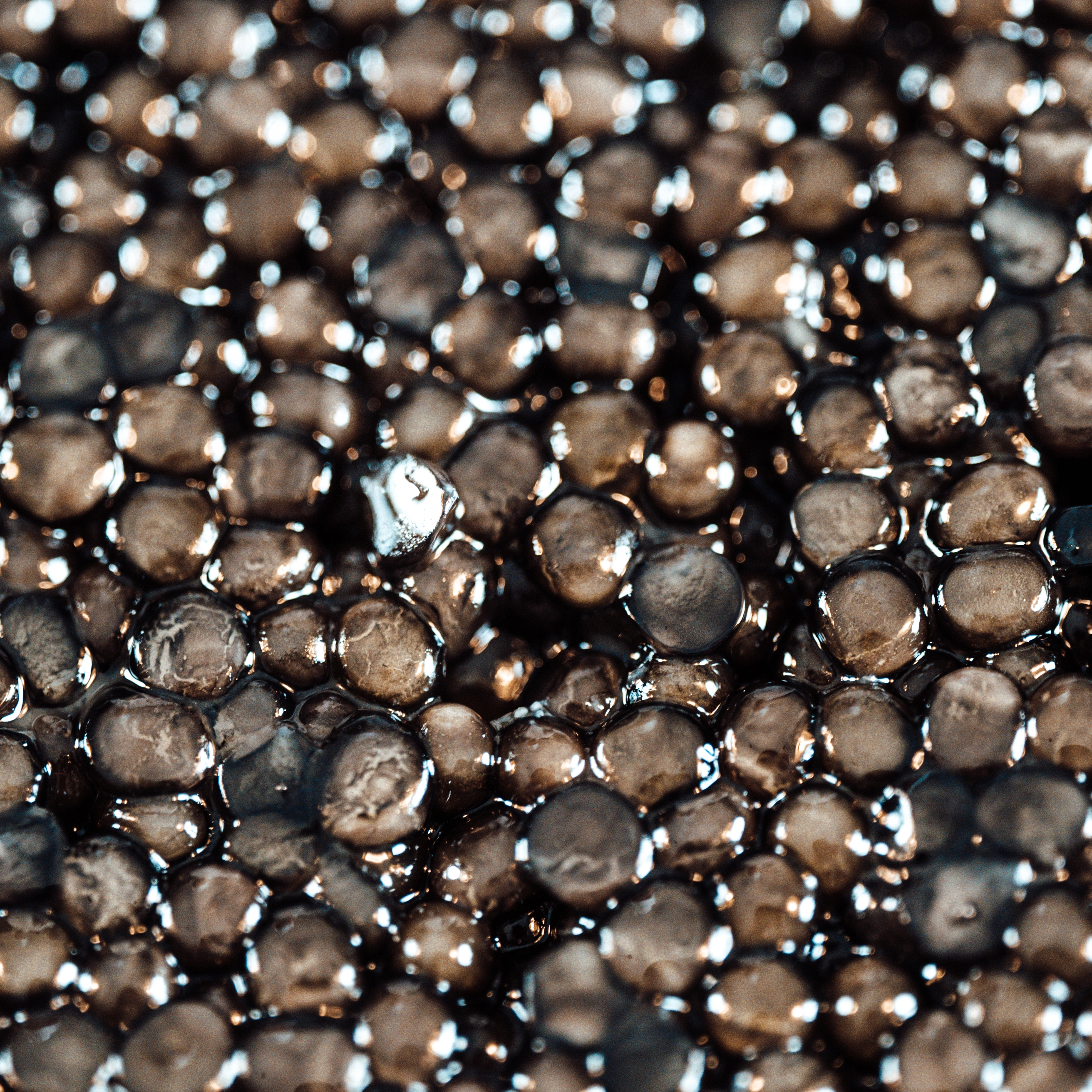 Produits du Bassin d'Arcachon